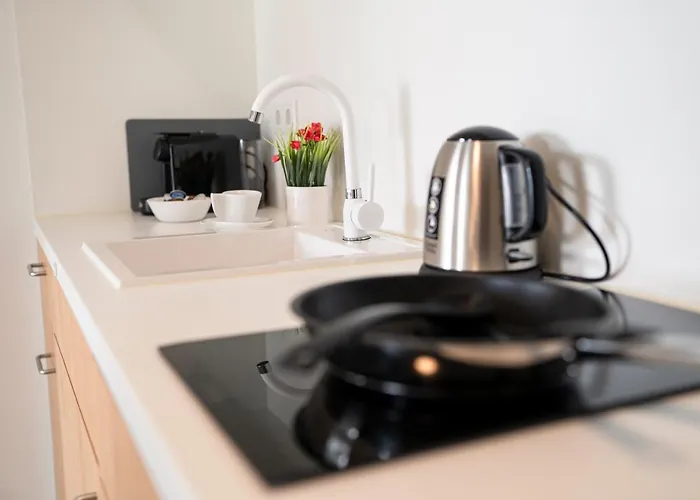 Deluxe - Parking - Workspace Apartman Gießen